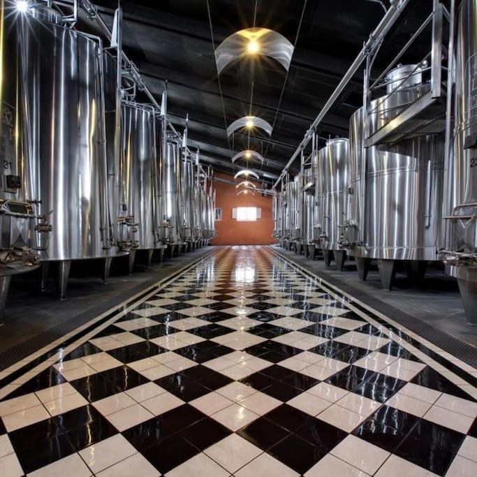 Studio Confortable Aux Portes De Bordeaux Et Medoc Ludon-Médoc エクステリア 写真